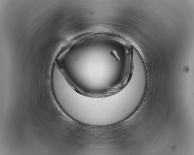 X0000096391477200802071525