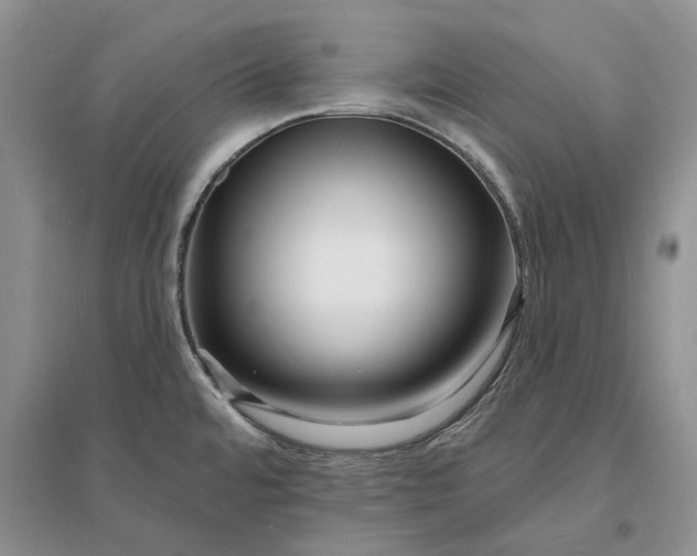 X0000096391480200802071525