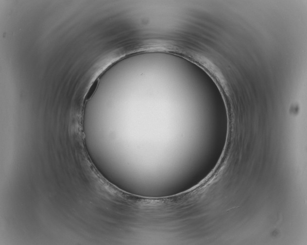 X0000096391481200802071525