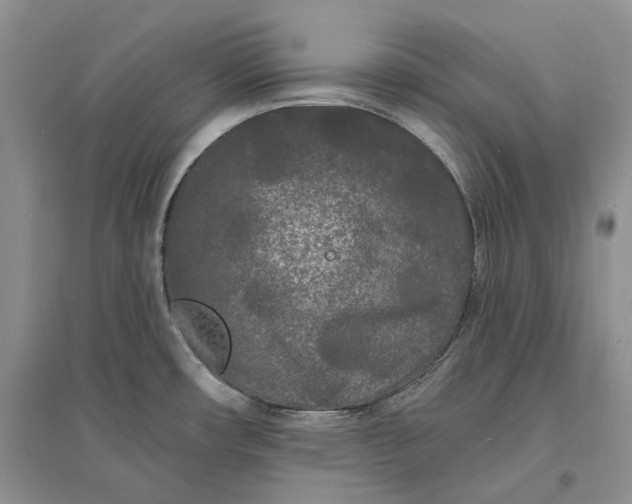 X0000096391482200802071525