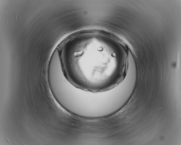 X0000096391484200802071525