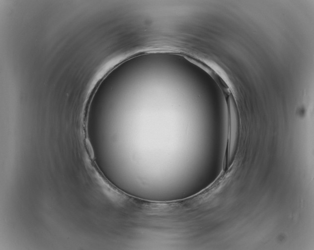 X0000096391485200802071525
