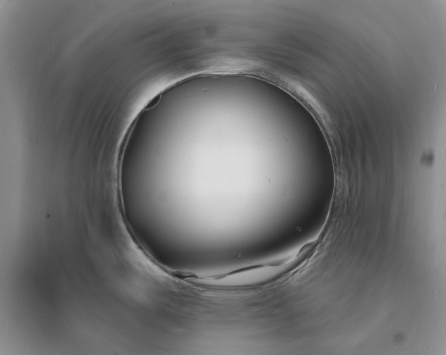 X0000096391487200802071525