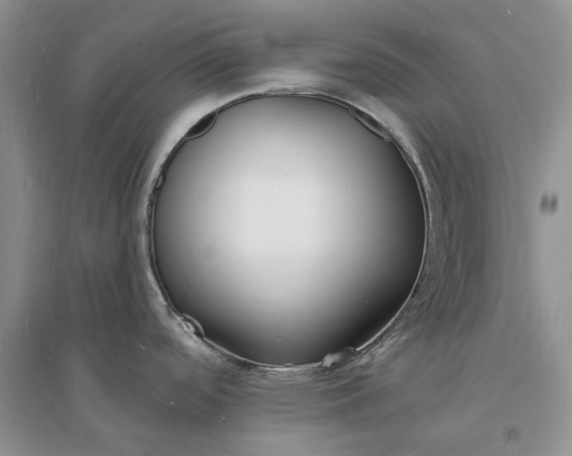 X0000096391488200802071525