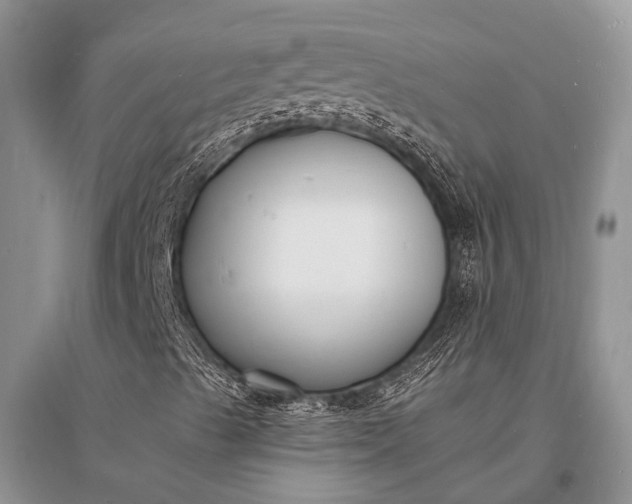 X0000096391489200802071524