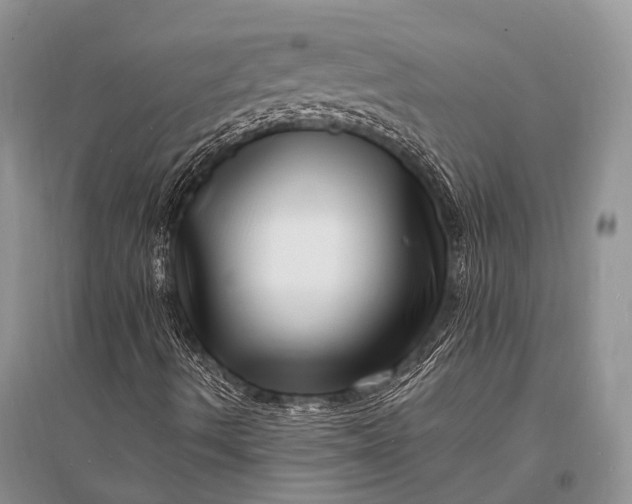 X0000096391490200802071524