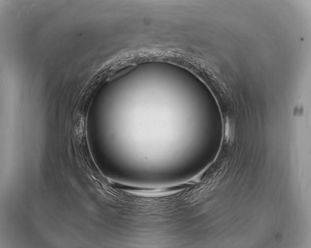 X0000096391492200802071524