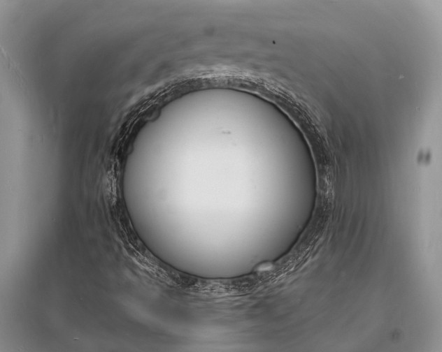 X0000096391493200802071524