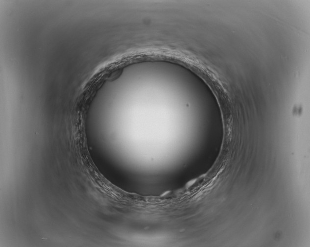 X0000096391494200802071524