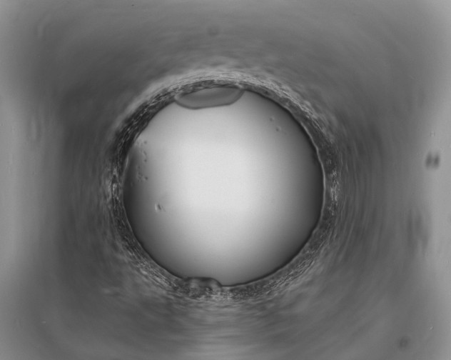 X0000096391495200802071524