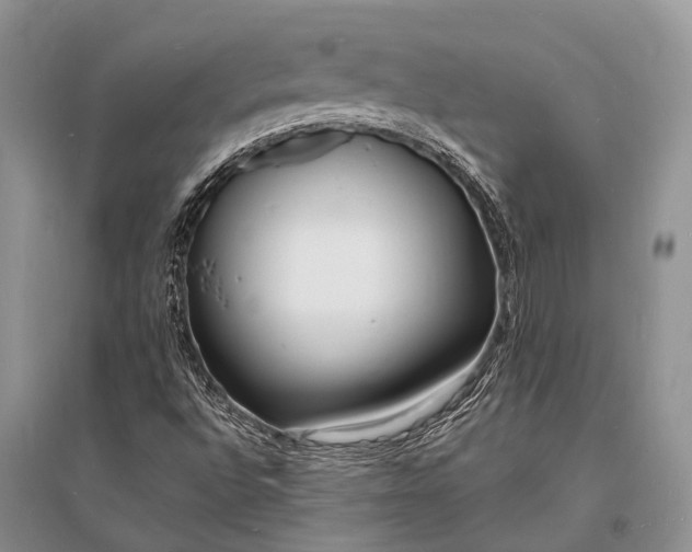 X0000096391496200802071524