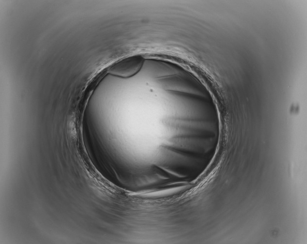 X0000096391497200802071524