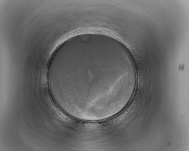 X0000096391498200802071524