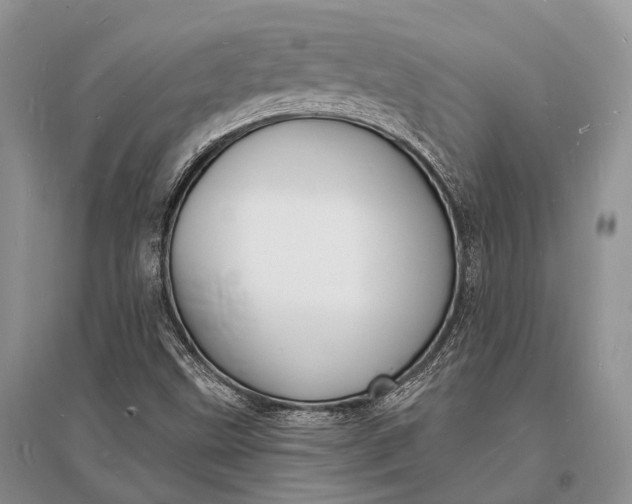 X0000096391499200802071524