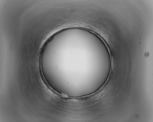 X0000096391500200802071525