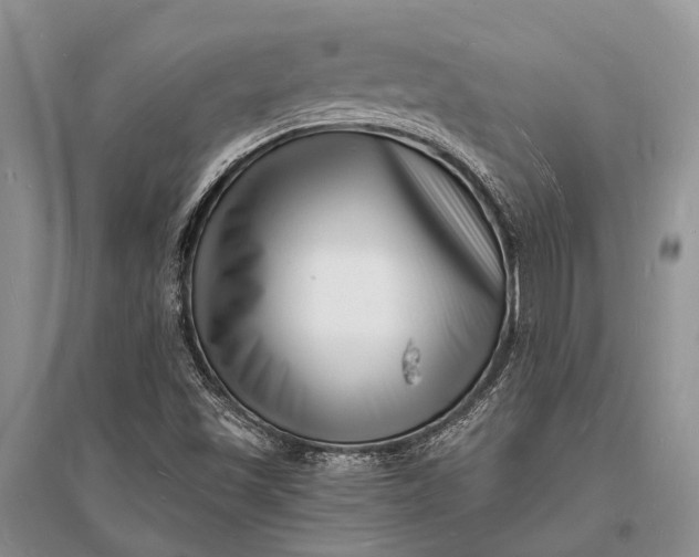X0000096391501200802071525