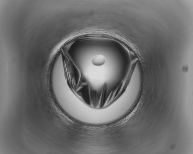 X0000096391502200802071525