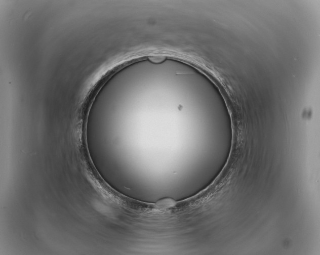 X0000096391503200802071525