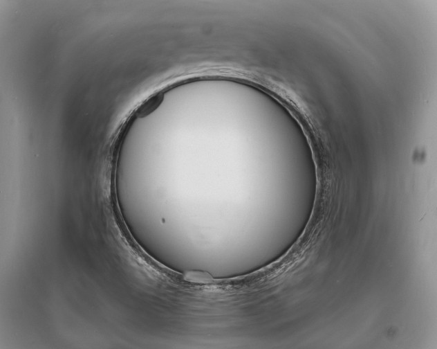 X0000096391504200802071525