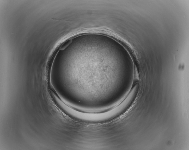 X0000096391506200802071525