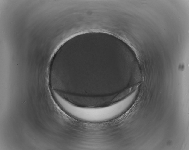 X0000096391508200802071525