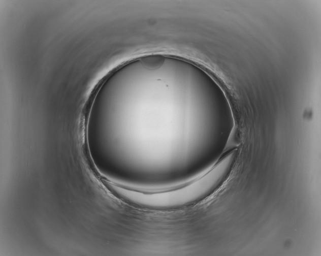 X0000096391510200802071525