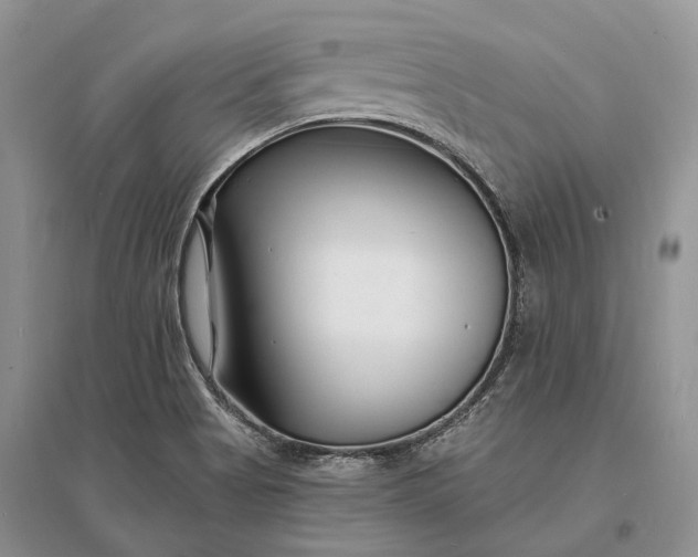 X0000096391513200802071525