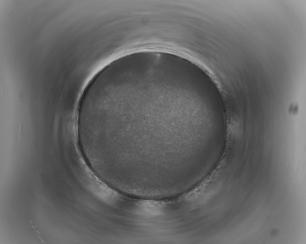 X0000096391514200802071525