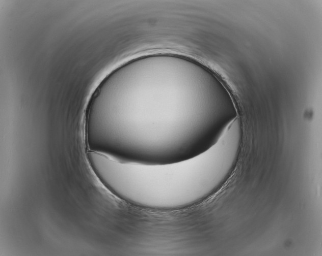 X0000096391516200802071525