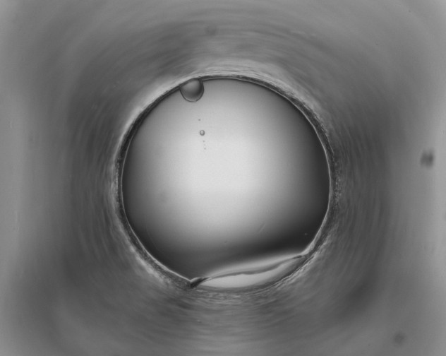 X0000096391517200802071525