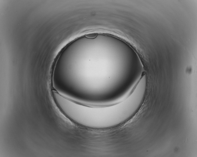 X0000096391518200802071525