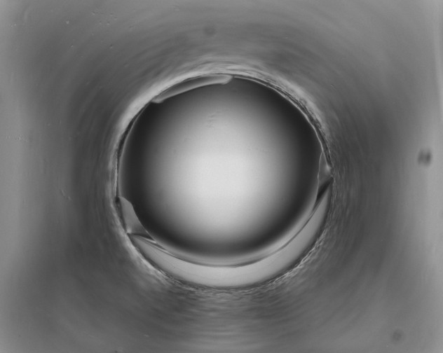 X0000096391520200802071525