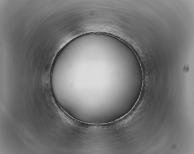 X0000096391521200802071525