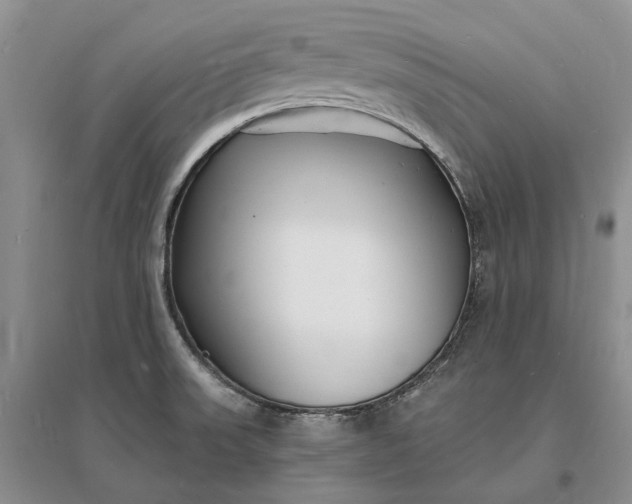 X0000096391523200802071525
