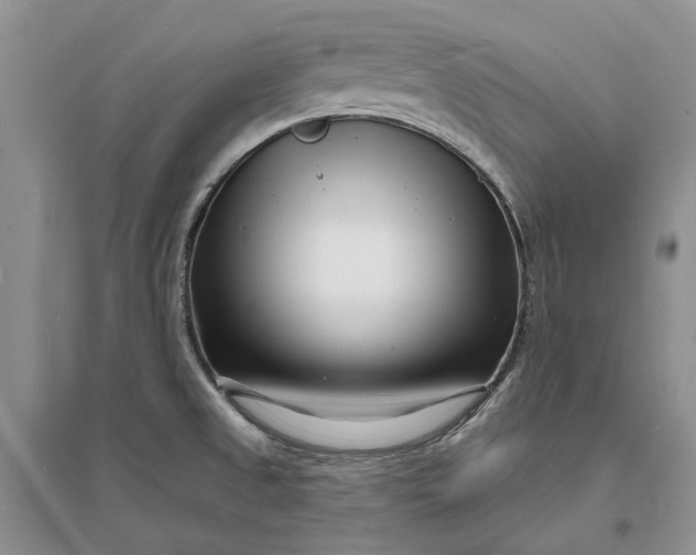 X0000096391525200802071525