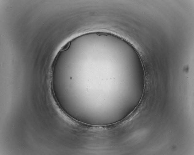 X0000096391526200802071525