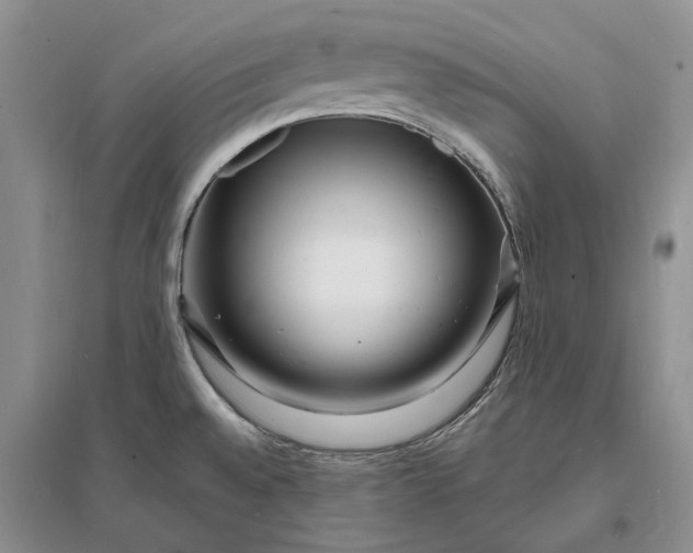 X0000096391528200802071525