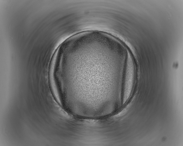 X0000096391529200802071525