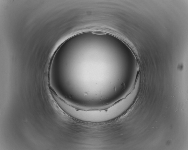 X0000096391530200802071525
