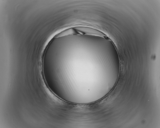 X0000096391531200802071525