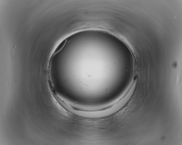 X0000096391532200802071525