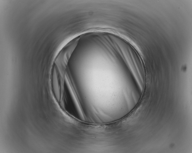 X0000096391533200802071525