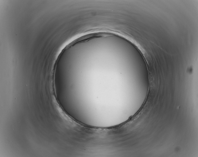 X0000096391534200802071525