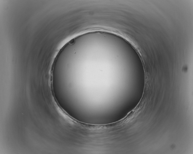 X0000096391535200802071525
