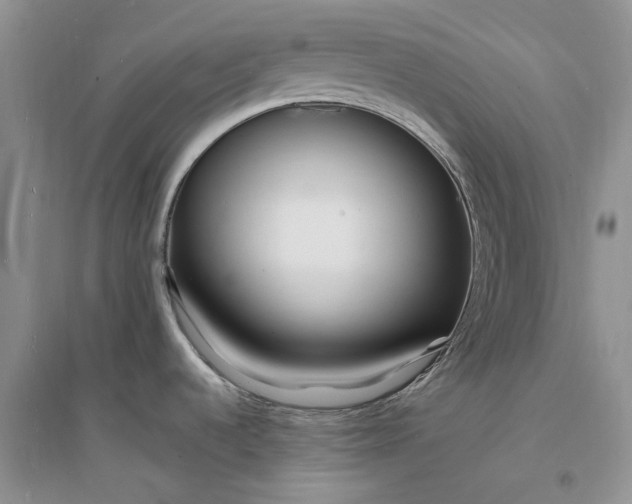 X0000096391536200802071525