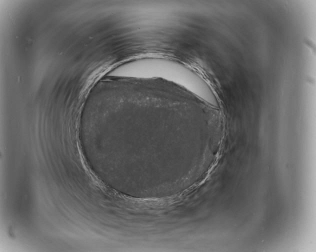 X0000096390001200802141506