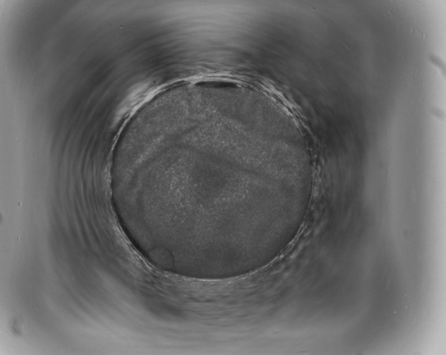 X0000096390002200802141506