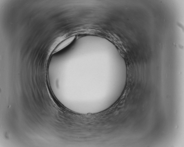 X0000096390003200802141506