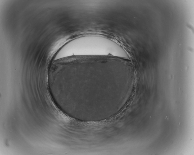 X0000096390005200802141506