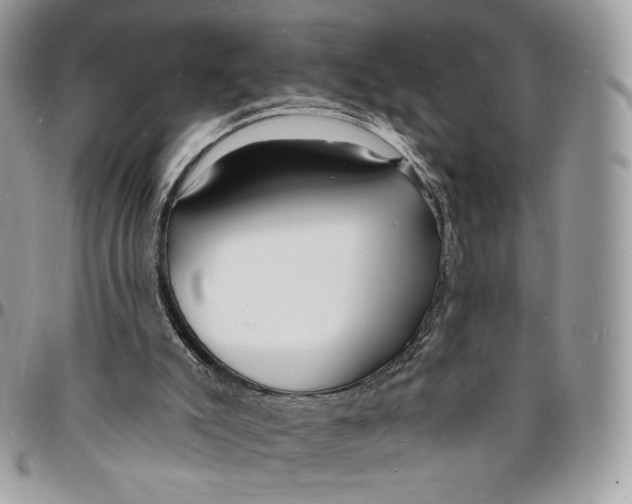 X0000096390007200802141506